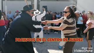 Pachucos Bailando [upl. by Gustaf]