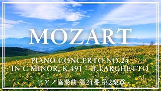 【Mozart】Piano Concerto No24 in C minor K491  Ⅱ Larghetto  モーツァルト ピアノ協奏曲第24番 第2楽章 [upl. by Llemrej]