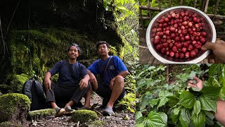 Exploring a Mysterious Place in My Village Arunachal Pradesh Collecting Wild Berries and Veggies [upl. by Stclair892]