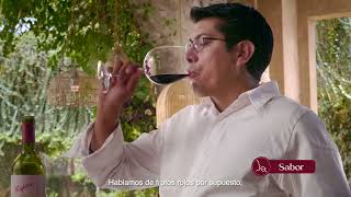 Vinuto  Penfolds Koonunga Hill Shiraz [upl. by Amsed]