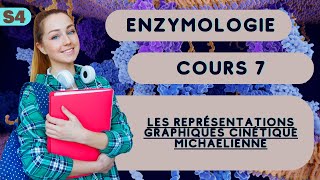 Enzymologie S4 les représentations graphiques cinétique Michaelienne cours svi [upl. by Almat]