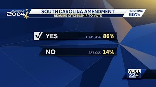 South Carolina voters decide citizenship amendment [upl. by Alaehcim]