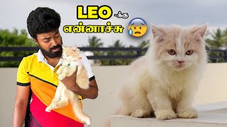 LEO’S NOT WELL 🐈🤧SERIOUS ISSUE 🚨 Went To Hospital 😓 ramkannan [upl. by Ennasirk]