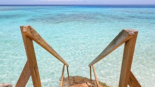 Step Into Aruba The Bluest Waters in The World [upl. by Christa]