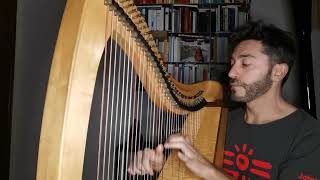 Snow by Loreena Mckennitt Harp Cover [upl. by Adigirb]