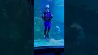 Worlds First Underwater Magic Stunt Show in Chennai  At VGP Marine Kingdom Chennai [upl. by Peers]