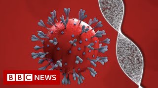 Coronavirus vaccine How close are we and who will get it  BBC News [upl. by Hluchy]