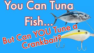 Tuning Your Crankbait [upl. by Moberg430]