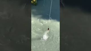 CRAZIEST Bungee Jump Ever 😂 bunggeejump [upl. by Muhcan]