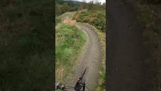 Smells Like Tweed Spirit Glentress MTB Trail Part 3 [upl. by Haletta58]