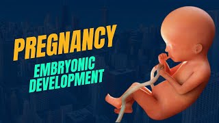 Pregnancy and Embryonic development class 12 biology chapter 03 human reproduction [upl. by Mel]