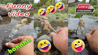 Catching frog funny for fun  funny animal video  cute frog jumping in river [upl. by Randene532]