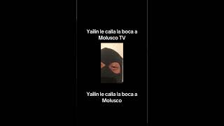 Yailin la más viral  Bing Bong video reaccion [upl. by Alleinnad]