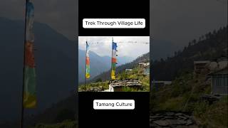 Village Life on the Langtang Trek langtang tamangculture travel [upl. by Ruzich]