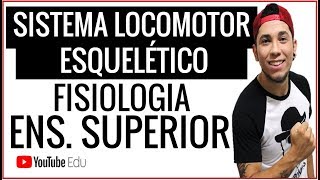 Aula SISTEMA LOCOMOTOR ESQUELÉTICO │PARA ENSINO SUPERIOR│ [upl. by Refotsirhc]