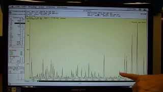 Mass Spec Lab ELECTROSPRAY Ionization and ADDUCTS using cryopumped SCIEX triple quad MS [upl. by Shana]