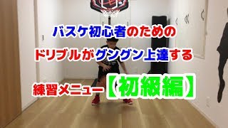 ナト小4｜初心者から達人へ！バスケ上達のためのドリブル練習メニュー【初級編】 [upl. by Gurl]