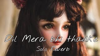 Dil Mera bhi thadke solo and Reverb Songs lofi song [upl. by Papageno]