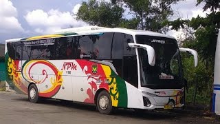 Line Perdana Bus NPM Di Kota Dumai [upl. by Tome930]