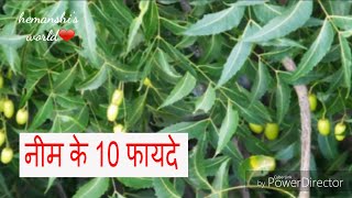 Neem benefits and uses in hindi  Wonder Herb Neem Benefits Uses  नीम के स्वास्थ्य फायदे [upl. by Shanahan802]