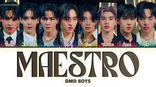 【DMD BOYS】 MAESTRO Original by SEVENTEEN [upl. by Nwahsir]