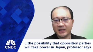 Little possibility that opposition parties will take power in Japan professor says [upl. by Einaej]