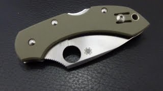 Spyderco Dragonfly G10  Review [upl. by Sucramaj]