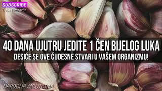 40 DANA UJUTRU JEDITE 1 ČEN BIJELOG LUKA Desiće se OVE ČUDESNE stvari u vašem organizmu [upl. by Brooke]