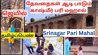 தேவதைகள் ஆடி பாடும் காஷ்மீர் பரி மஹால்  Srinagar parimahal kashmir srinagar parimahal vlog [upl. by Lenwood834]