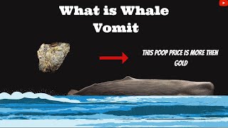 What is whale vomit whalevomit ambergris facts [upl. by Yelsnya]