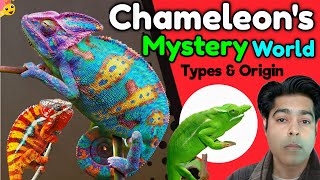 Chameleon Mystery World  Types amp Origin शमेलिऑन रहस्य जगत  प्रकार और वास्तव [upl. by Ahsac]