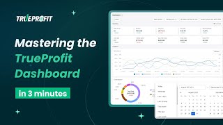 Mastering The TrueProfit Dashboard In 3 Minutes  Net Profit Tracking for Shopify Tutorial 2024 [upl. by Retrop]