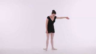 How to Do the 5 Basic Positions  Ballet Dance [upl. by Cirdes]