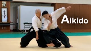 Aikido Demonstration 2019  Shirakawa Katsutoshi shihan [upl. by Anawqahs]