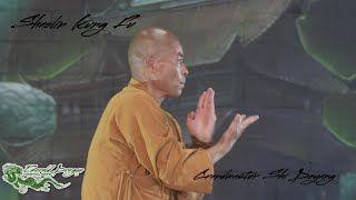 Grandmaster Shi Deyang Shaolin Kung Fu practice Xiao Hong Quan [upl. by Aleac]