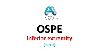 OSPE Inferior ExtremityPart 2 [upl. by Nyleuqcaj120]