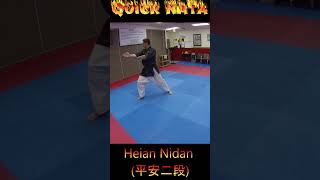 Kata Tutorial Heian Nidan karate karatekata heiannidan [upl. by Enayr]