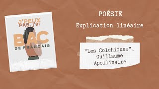 EXPLICATION LINÉAIRE  quotLES COLCHIQUESquot ALCOOLS APOLLINAIRE [upl. by Klump]