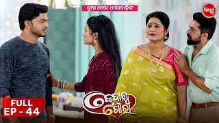 କେଦାର ଗୌରୀ  Kedar Gouri  Full Episode  44  New Odia Mega Serial on Sidharth TV 830PM [upl. by Perzan]