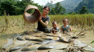 Harvest giant fish with your children to sell at the market  buy clothes to keep your children warm [upl. by Femi]