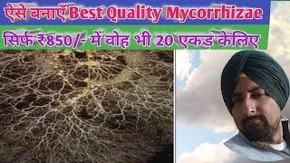 Best Bio fertilizer Mycorrhiza Make it at Home for 20 acre in ₹ 850 only [upl. by Mientao]