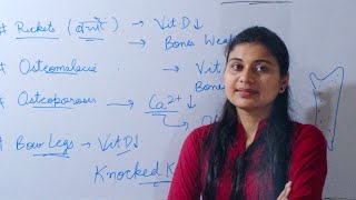 Skeletal system कंकाल तंत्र  Biology  Lesson3  Bones अस्थिहड्डी  Bone Diseases  Science hindi [upl. by Gilli]