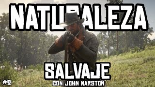 CAZANDO a los ANIMALES LEGENDARIOS  Red Dead Redemption 2 [upl. by Sylvanus]