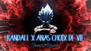 RANDALL x Anas Choix de vie2X SlowedReverb  Most Attitude BGM Song for Tiktok amp Others editing [upl. by Monreal799]