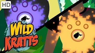 Wild Kratts 💥 Activate All Season 5 Creature Powers  Kids Videos [upl. by Mulvihill]