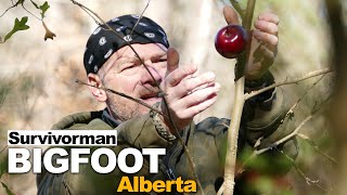 Survivorman Bigfoot  Episode 1  Alberta  Les Stroud  Todd Standing [upl. by Narual]