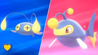 HOW TO Evolve Chinchou into Lanturn in Pokémon Sword and Shield [upl. by Aivatnahs163]