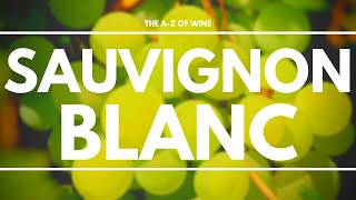 What is SAUVIGNON BLANC  Everything you need to know about this delicious grape [upl. by Samuel]