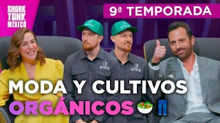 Una plataforma para cultivar y pantalones supercómodos 🥗👖  Temporada 9  Shark Tank México [upl. by Neeleuqcaj]