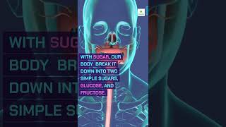 Part 17 what happens to your body when you stop eating sugar for 14 days sugar stopsugar [upl. by Kcirdot]